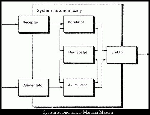 System autonomiczny Mariana Mazura